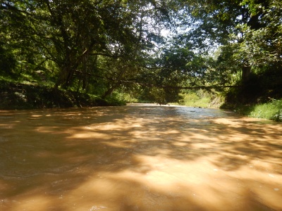 river photo